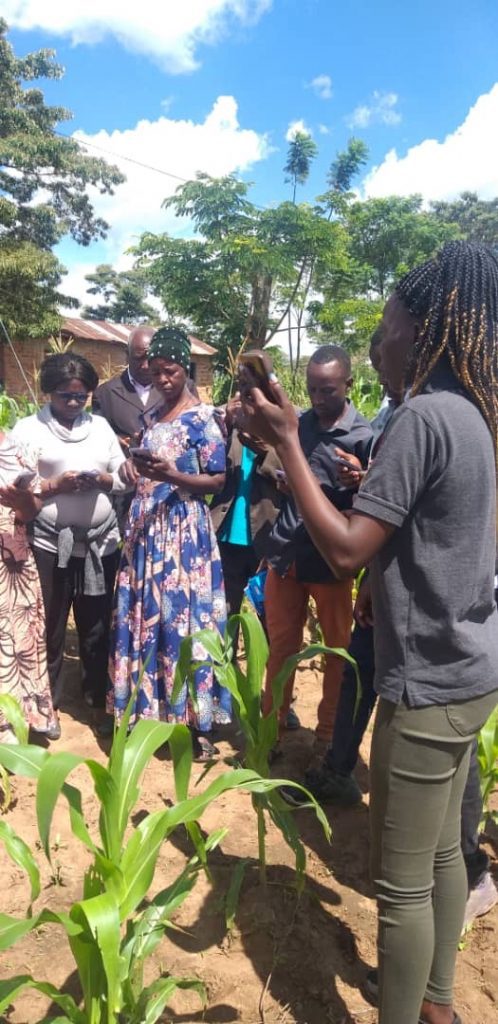 Farmers explore practical training